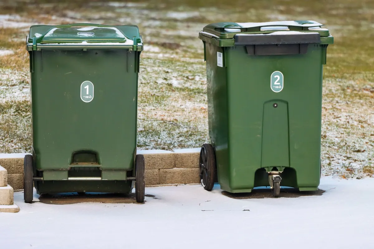 Composting in Winter: How to Keep Your Bin Working